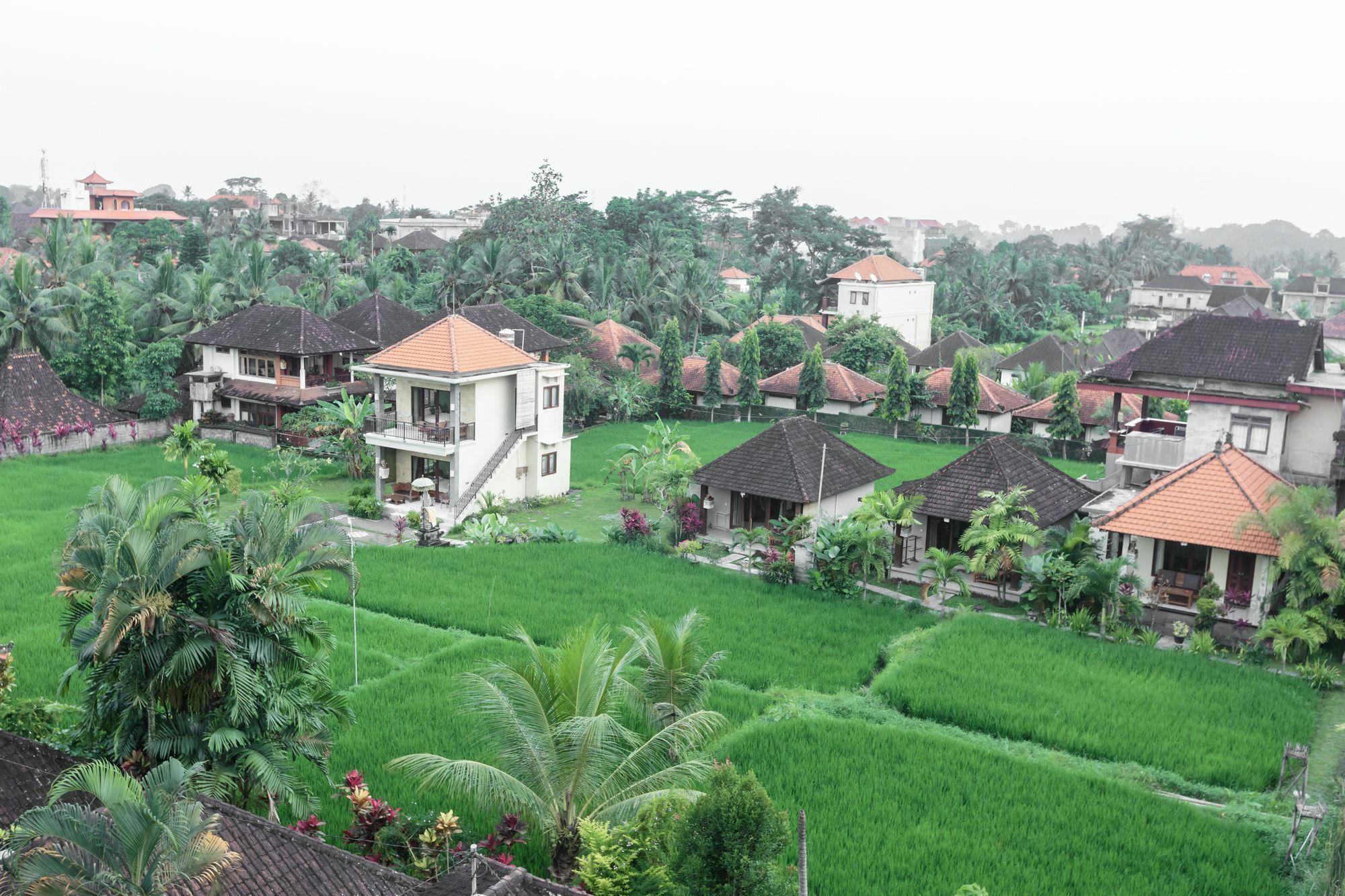 Warji House 2 Bisma Hotel Ubud  Ngoại thất bức ảnh